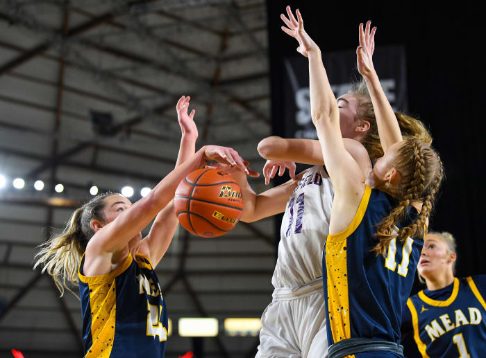 garfield mead 4a finals 20247